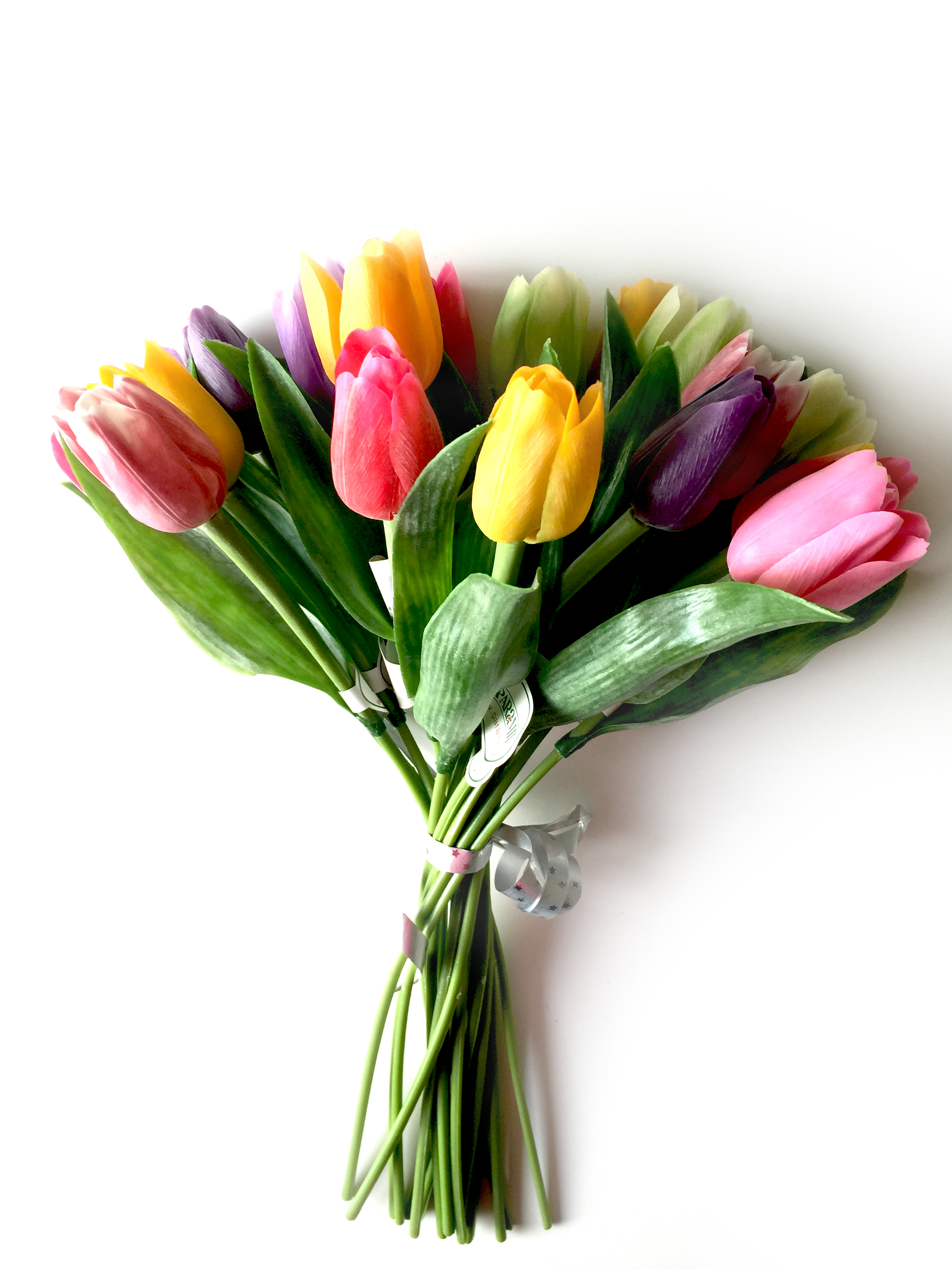 Barevné tulipány 