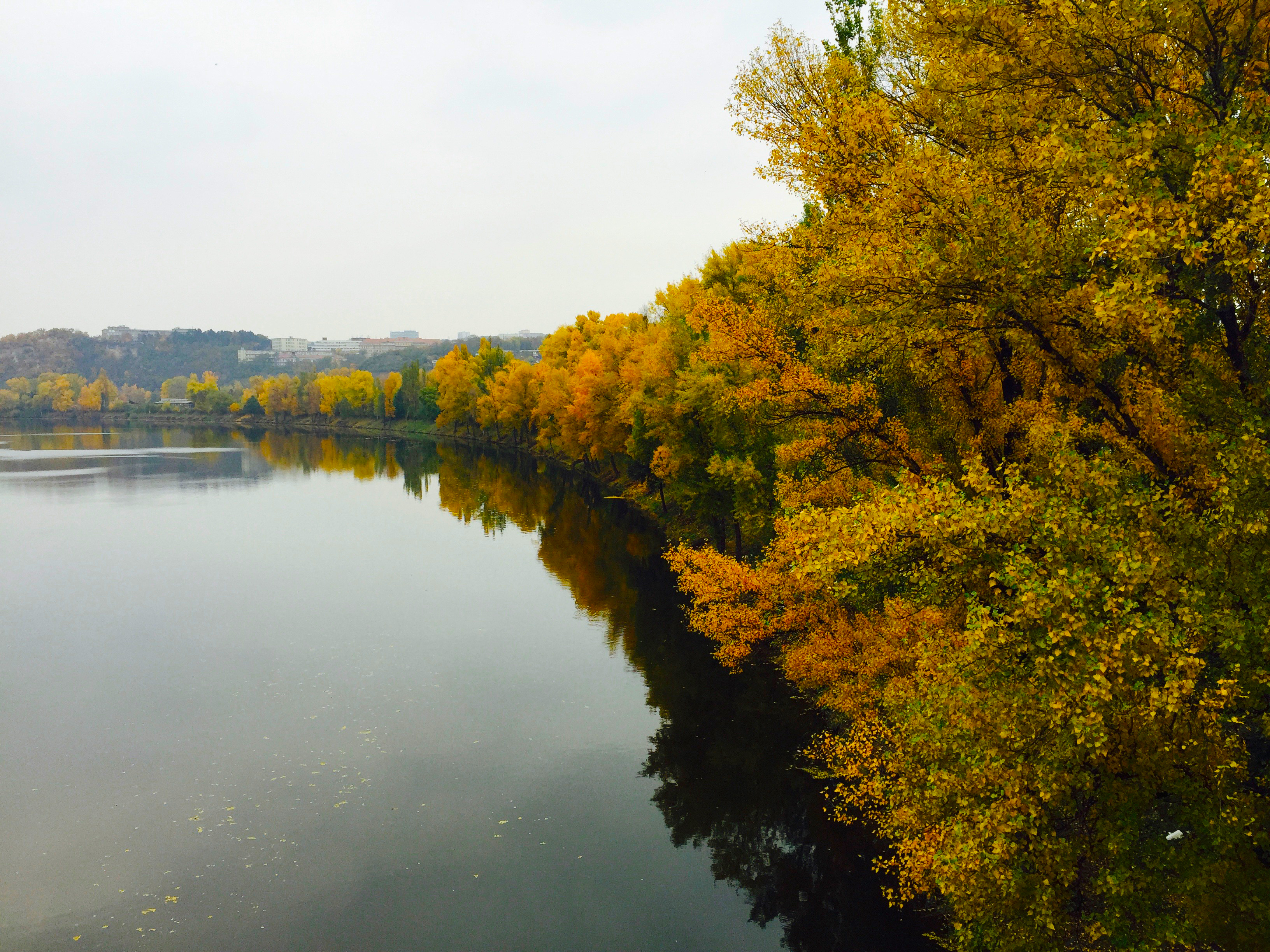 Podzimní stromy u vody 