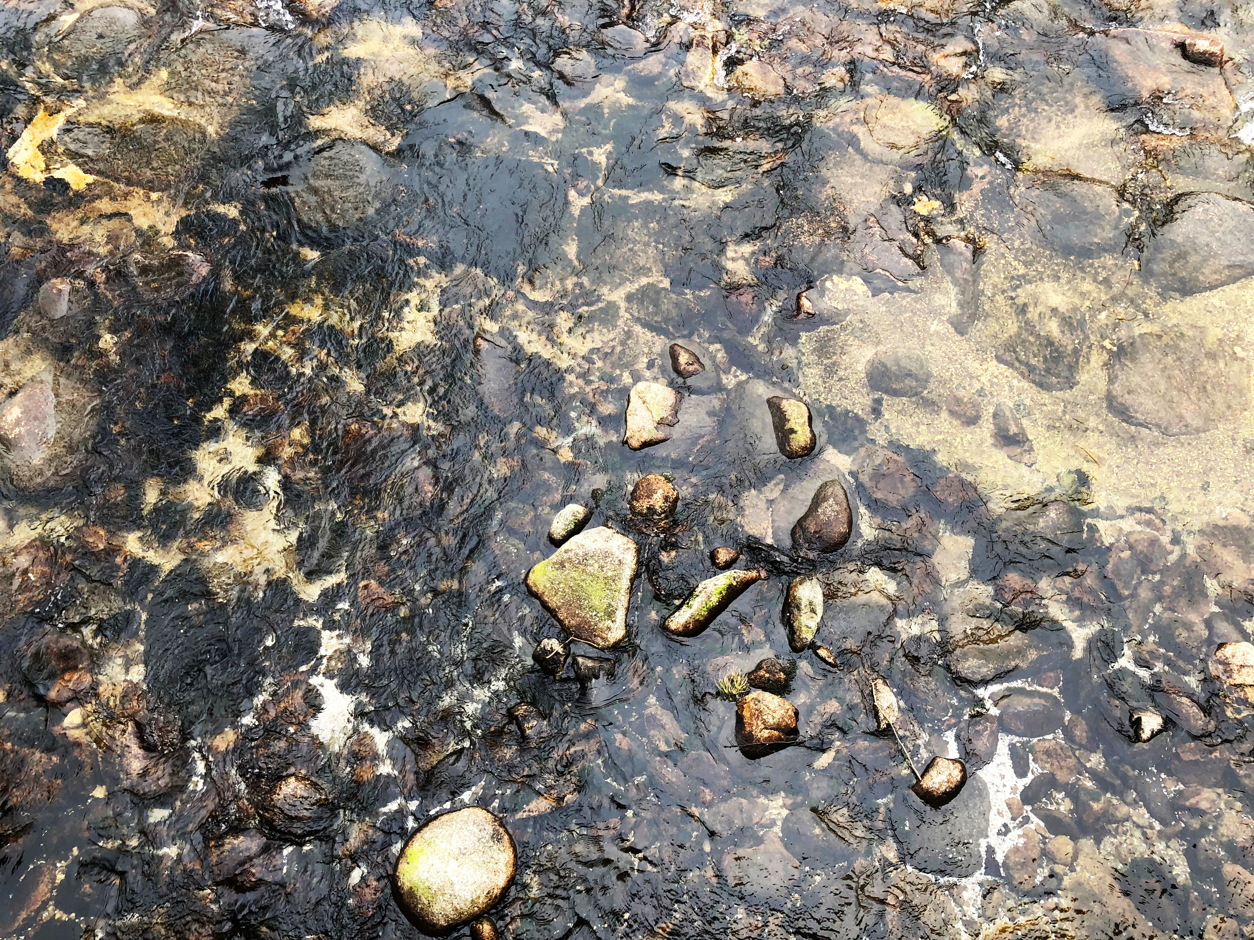 kameny ve vodě 