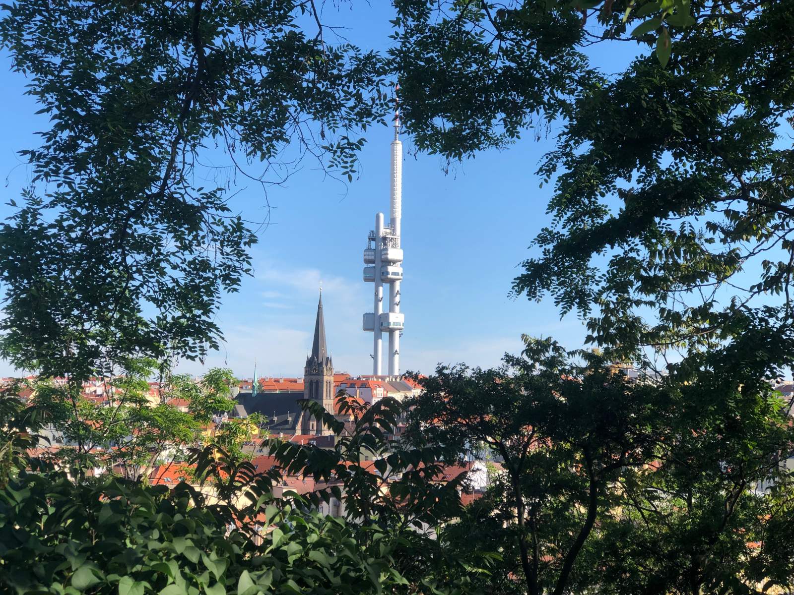 Vítkov - pohled na Žižkovskou věž 