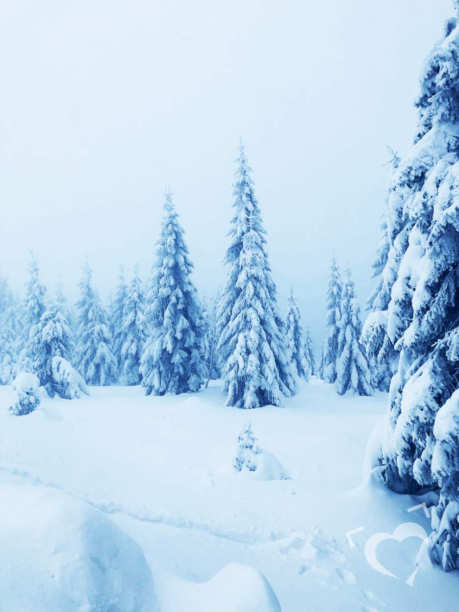 Zimní krajina pod sněhem
