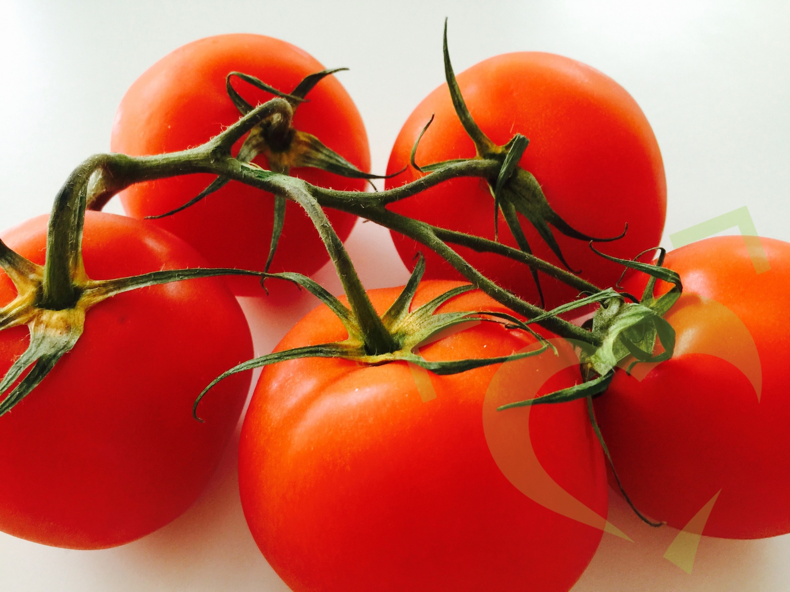 Čerstvá rajčata 