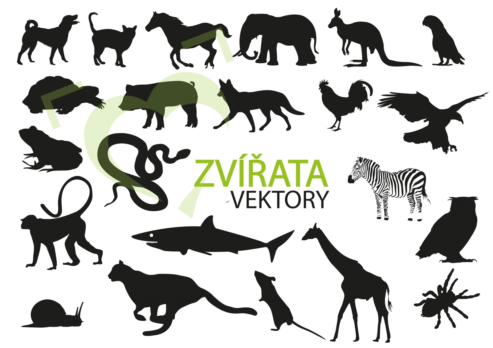 Vektoroá grafika - zvířata Vektoroá grafika - zvířata