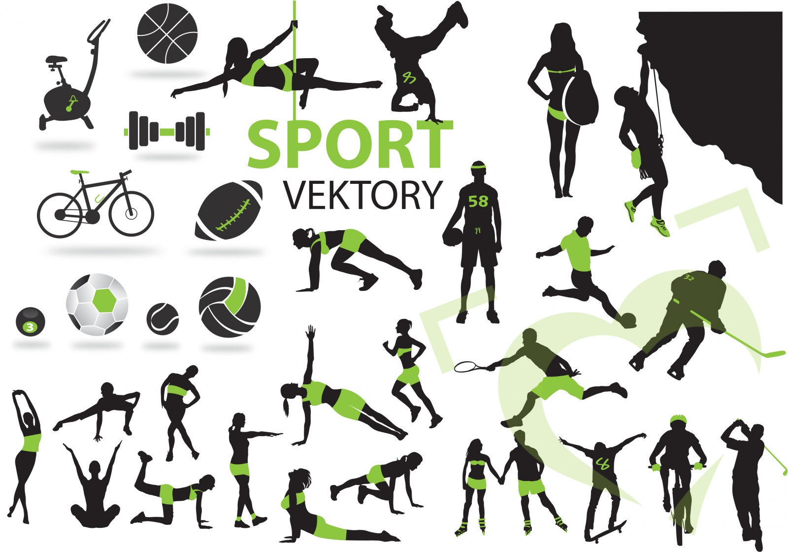 Vektorová grafika - sport