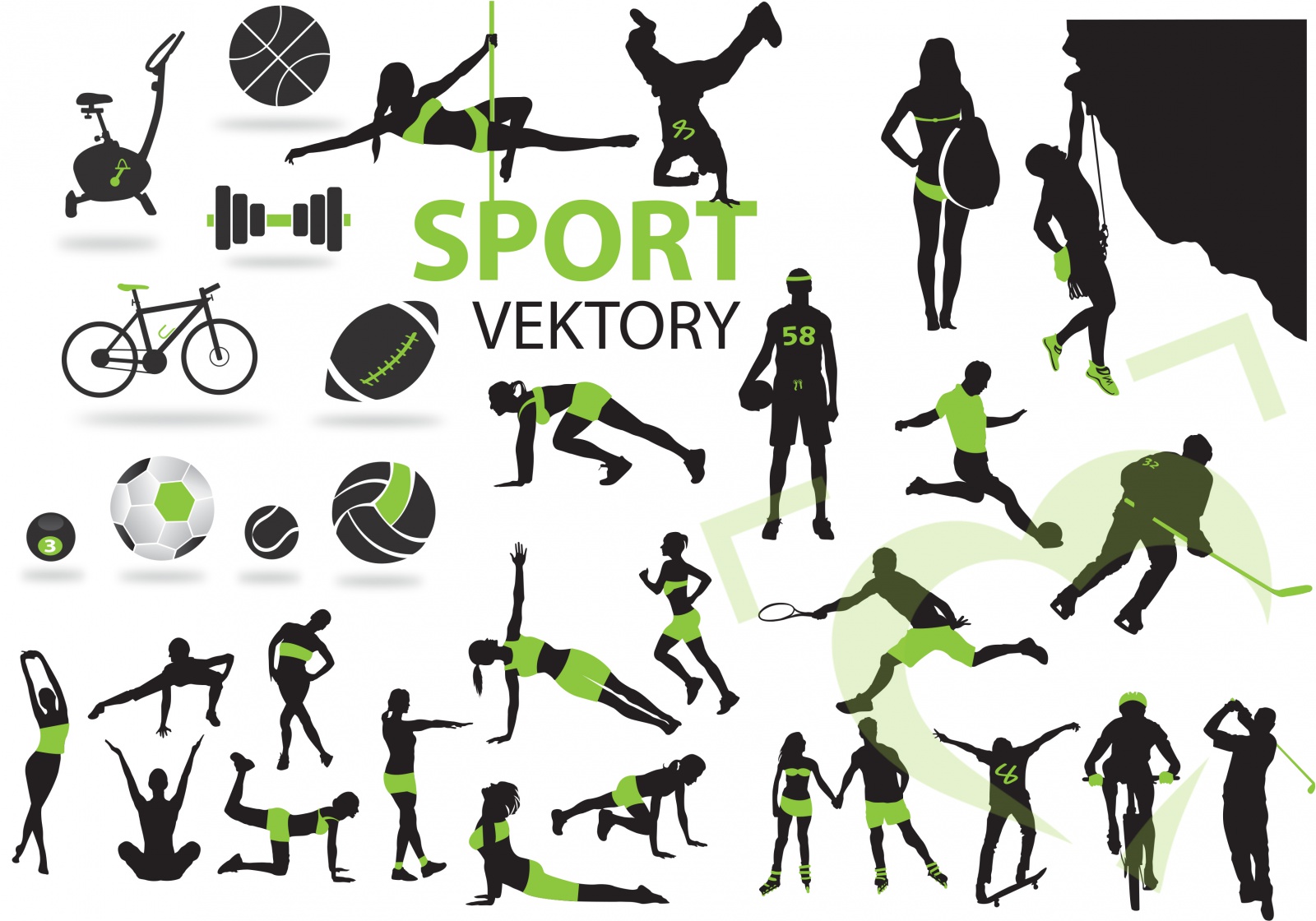 Vektorová grafika - sport Vektorová grafika - sport